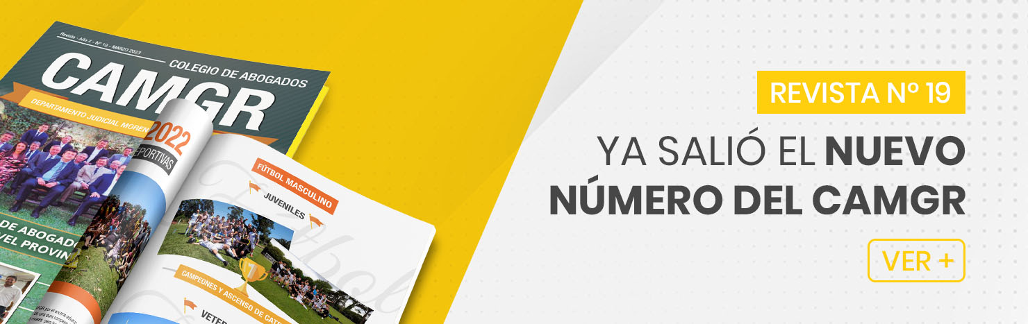 Revista CAMGR N° 19