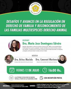 DESAFIOS